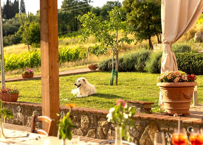 Azienda Agricola I Colli Di Marliano