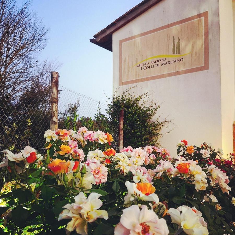 Farm stay Azienda Agricola I Colli Di Marliano Lastra a Signa
