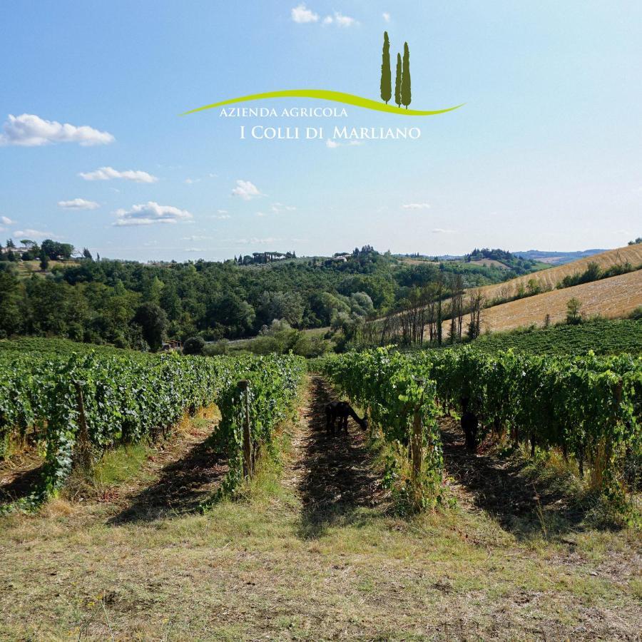 Azienda Agricola I Colli Di Marliano Farm stay
